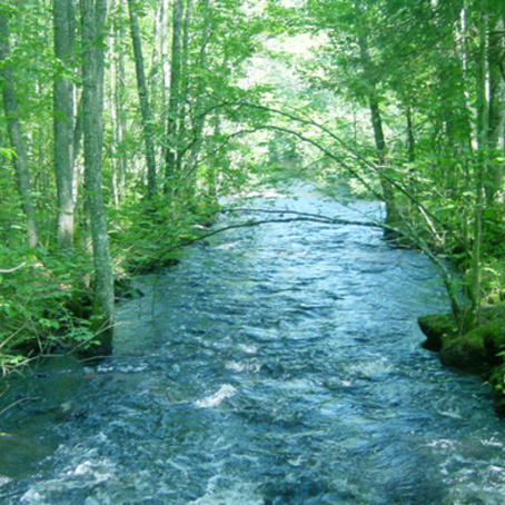 Down in the river to pray