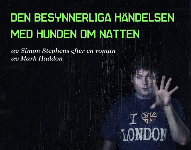 HundenOmNatten_tryck_liggande2